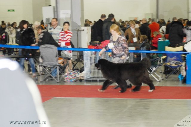 Фотография № 92719