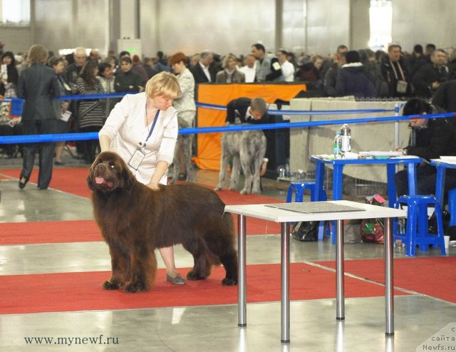 Фотография № 92721