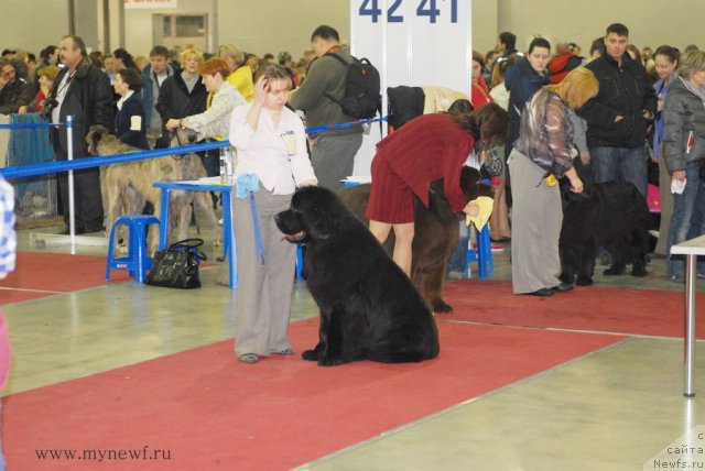 Фотография № 92723