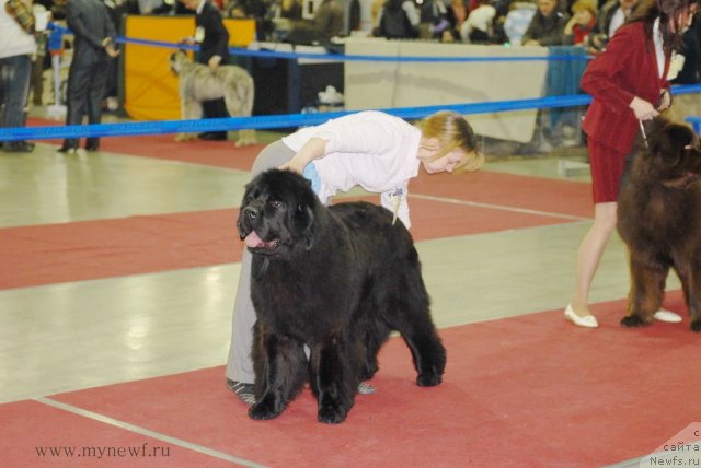 Фотография № 92724