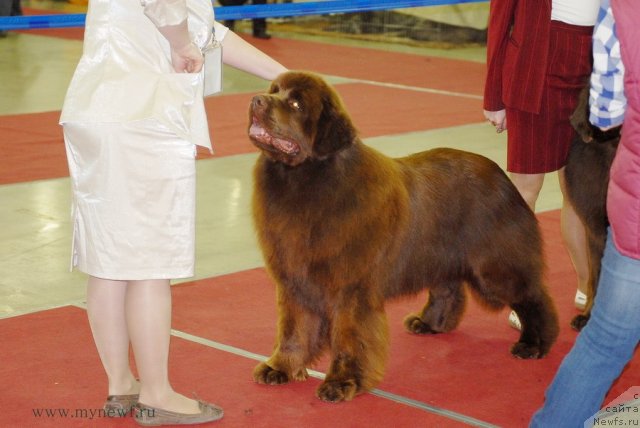 Фотография № 92726