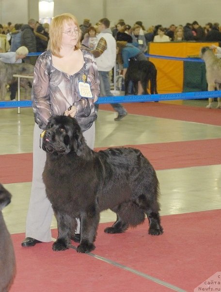 Фотография № 92728