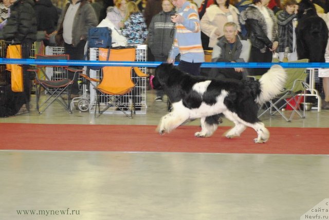 Фотография № 92729