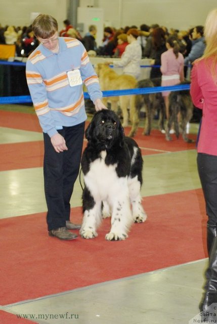 Фотография № 92730