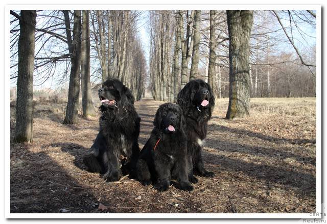 Фотография № 92760