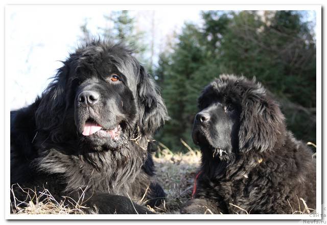 Фотография № 92761