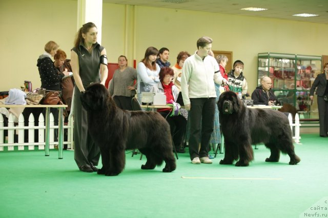 Фотография № 92794