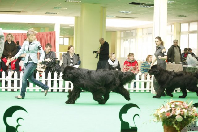 Фотография № 92796