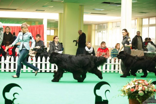 Фотография № 92797