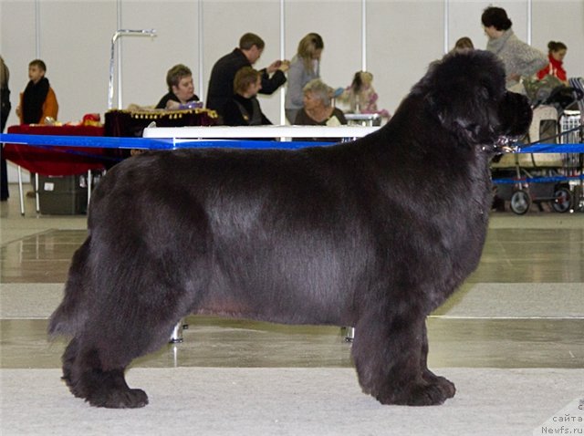 Фотография № 92818