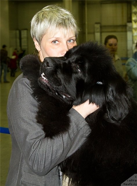 Фотография № 92823