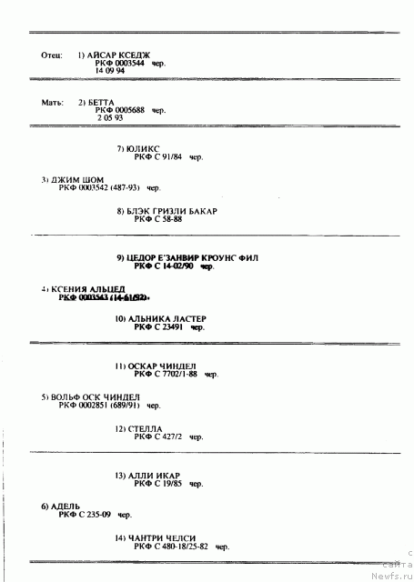 Фото: ньюфаундленд Ul'rika (Ульрика)