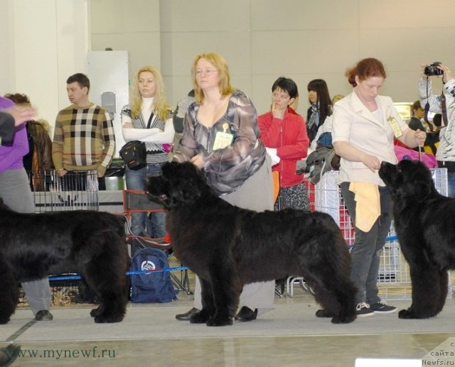 Фотография № 92849