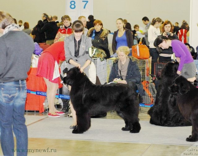 Фотография № 92850