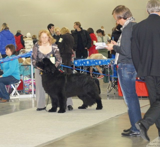 Фотография № 92851