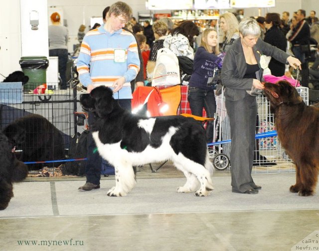 Фотография № 92853