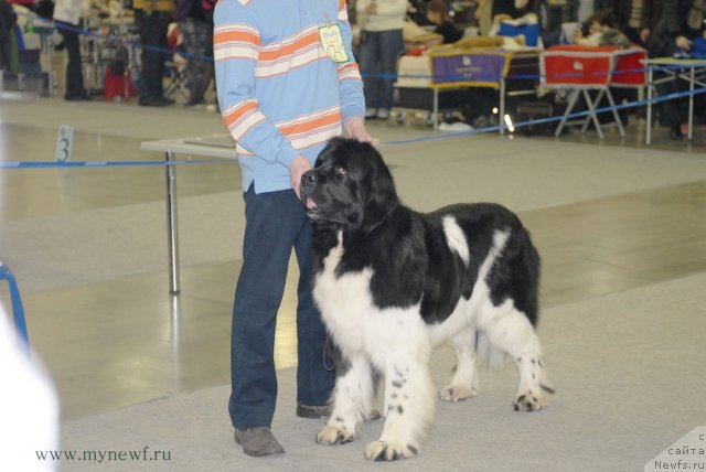 Фотография № 92854