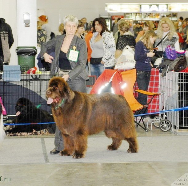 Фотография № 92855