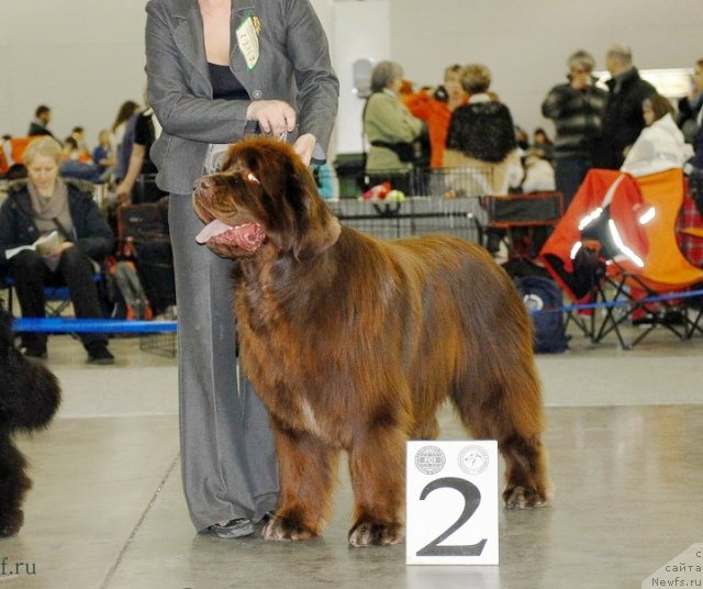 Фотография № 92856