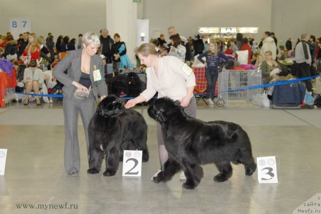 Фотография № 92858