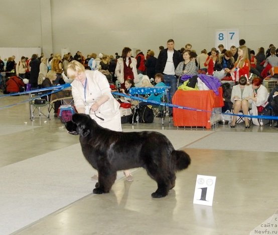 Фотография № 92859