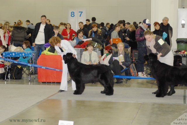 Фотография № 92860