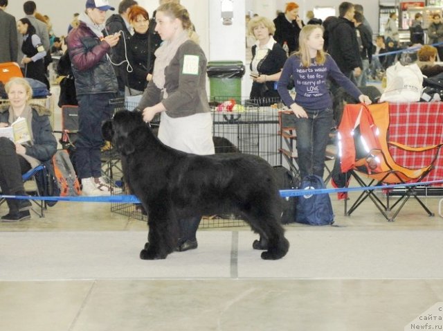 Фотография № 92861