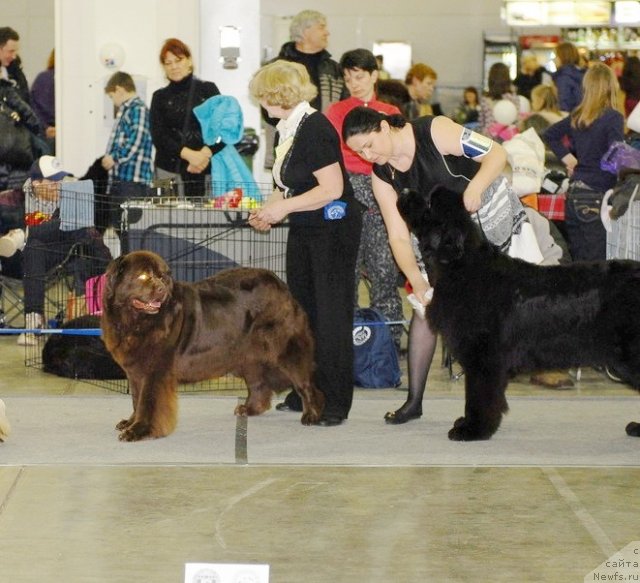 Фотография № 92869