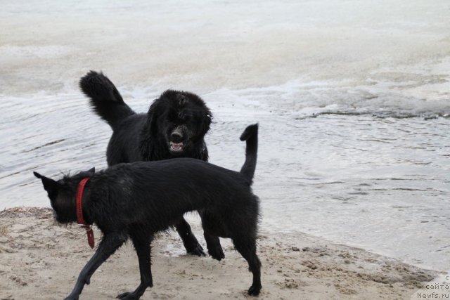 Фотография № 92870