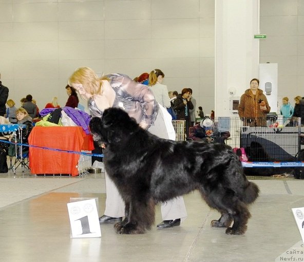 Фотография № 92877