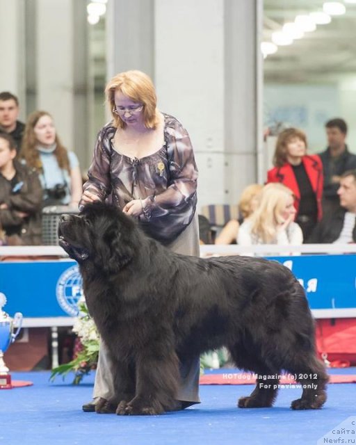 Фотография № 92879