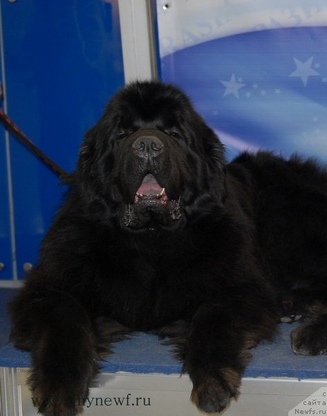 Фотография № 92886