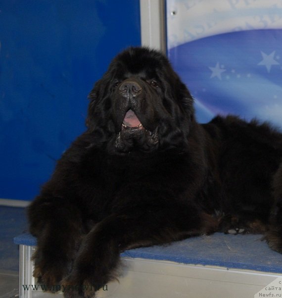 Фотография № 92888