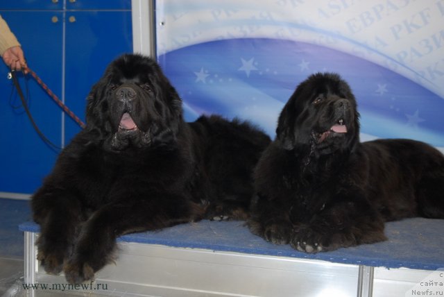 Фотография № 92889