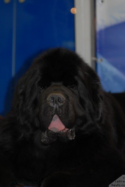 Фотография № 92895