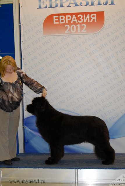 Фотография № 92896