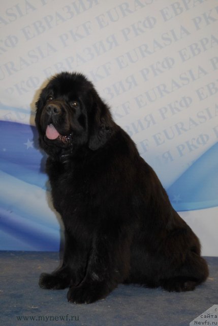 Фотография № 92897