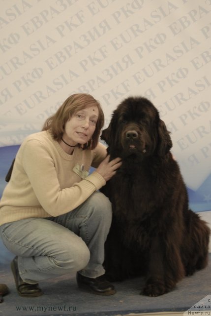 Фотография № 92903