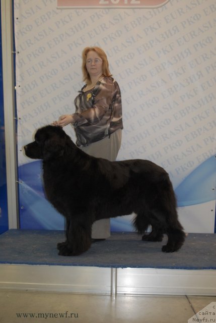 Фотография № 92904