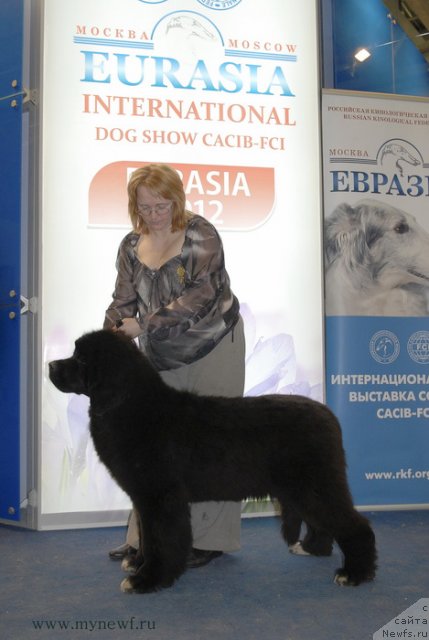 Фотография № 92906