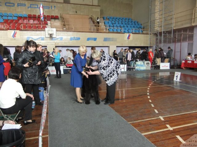 Фотография № 92919