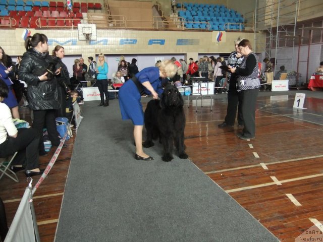 Фотография № 92922