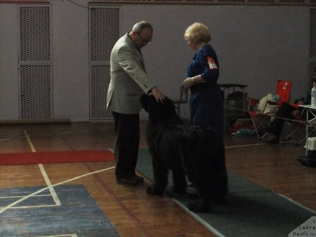 Фотография № 92924