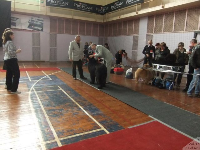 Фотография № 92929