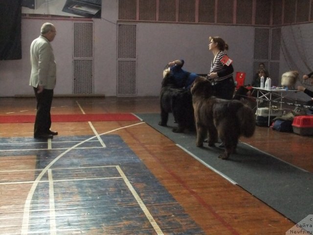 Фотография № 92933