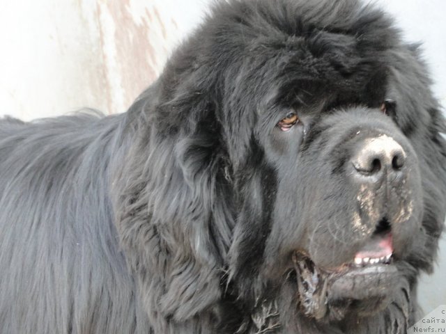 Фотография № 93067