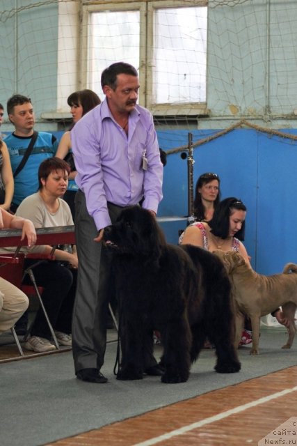 Фотография № 93098