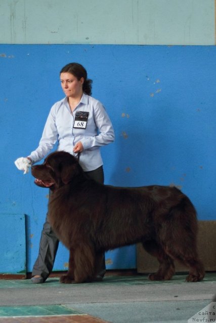 Фотография № 93101