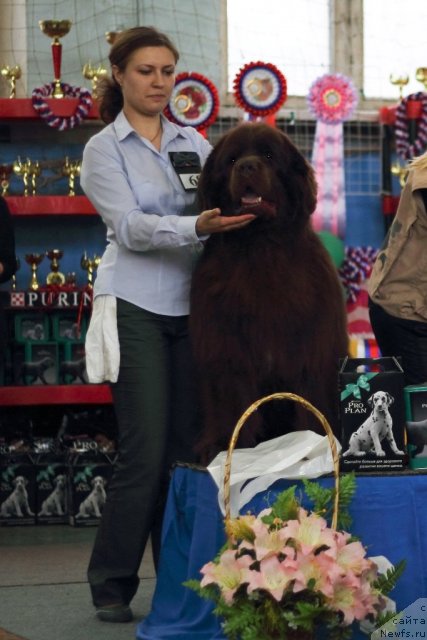 Фотография № 93102