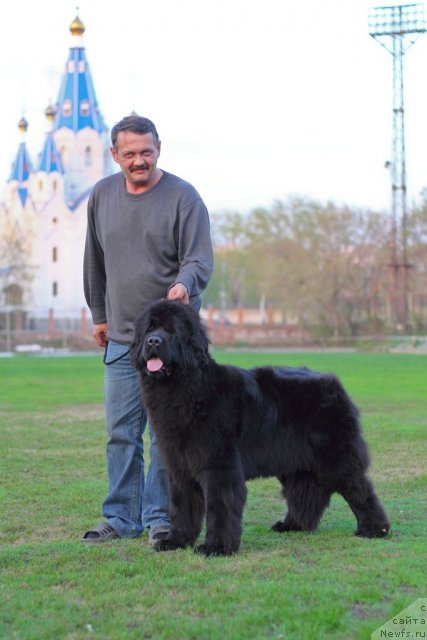 Фотография № 93103